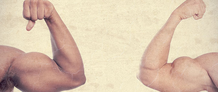 Fat Grip Workout Routine for Your Arms